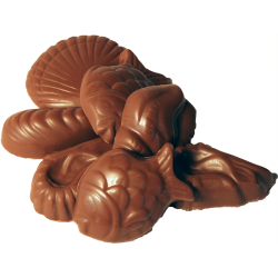 Friture Chocolat Lait