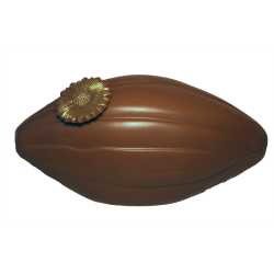 Cabosse chocolat NOIR