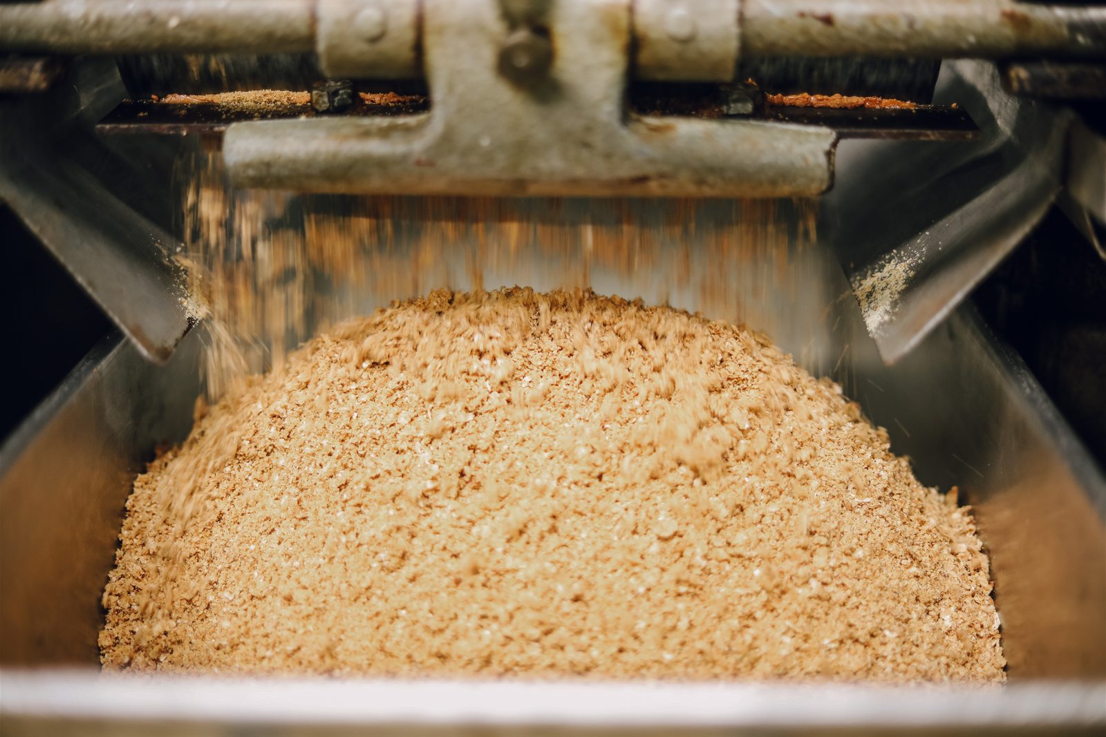 Une poudre dorée d'amandes caramélisées passe entre les rouleaux